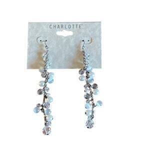 Charlotte Long Dangle Beaded Fishhook Earrings